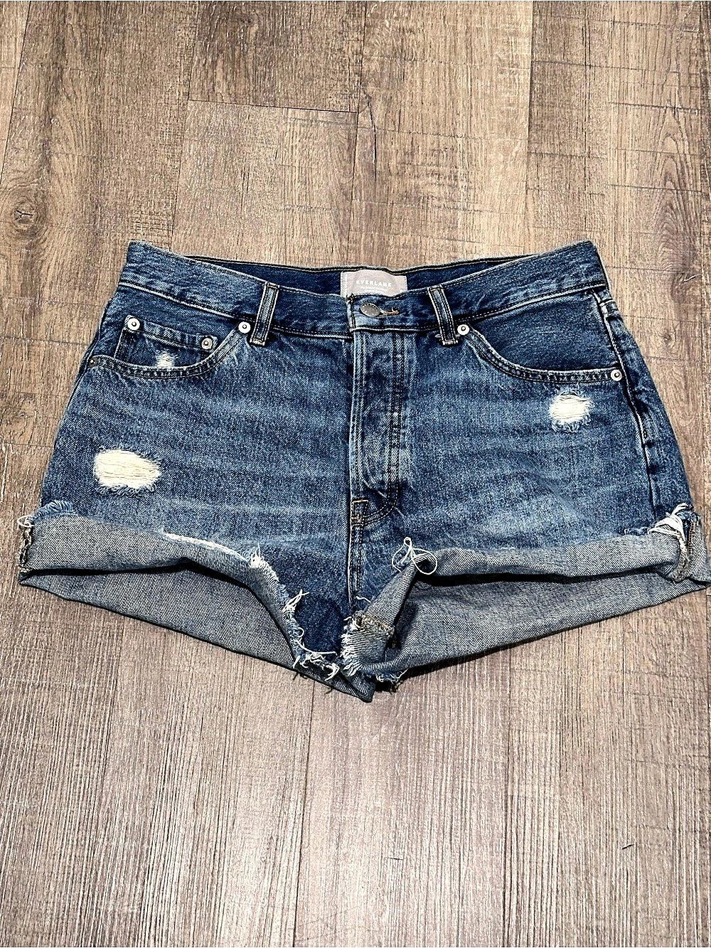 Everlane The Reworked '90s Short Distressed Denim Shorts in Blue